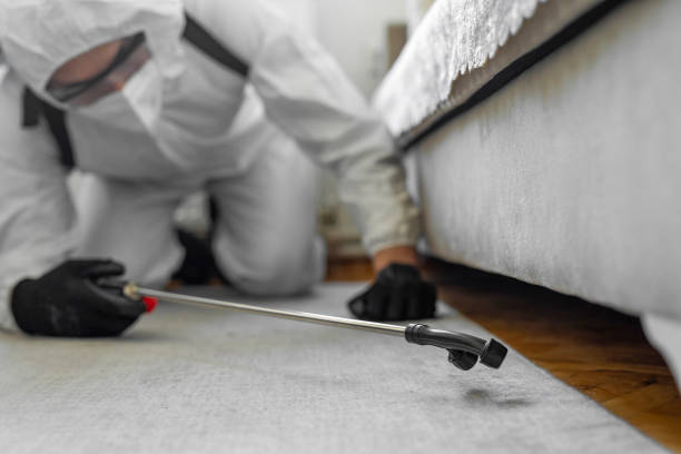 Professional Fumigation Services technician working in St. Charles, MN
