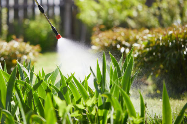 24/7 Emergency Fumigation Services experts in St. Charles, MN