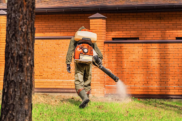 Trusted Ant Control service in St. Charles, MN - Nex Pest Control